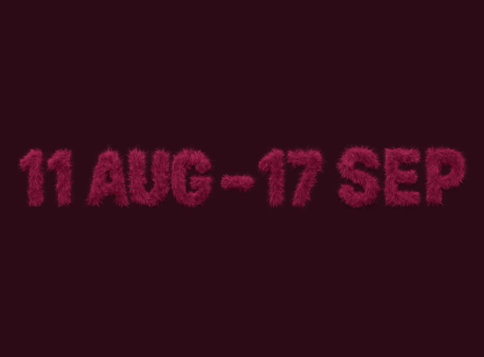 SIFA 2015 Visual 3