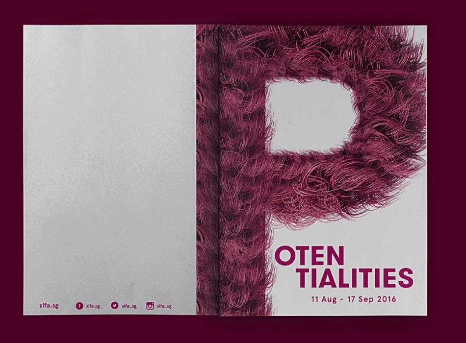 SIFA 2015 Visual 3